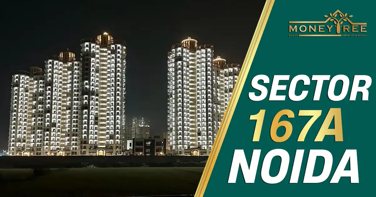 Sector 167A Noida: Map, Property Rates, Projects, Review