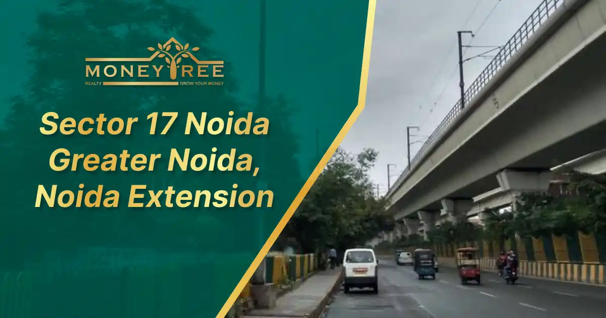 Sector 17 Noida | Greater Noida, Noida Extension