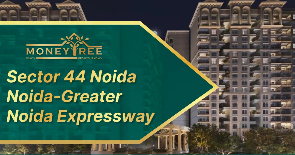 Sector 44 Noida | Noida-Greater Noida Expressway - Real Estate in Noida