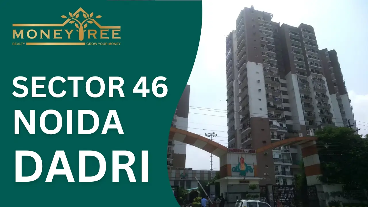 Sector 46 Noida | Dadri Greater Noida Expressway