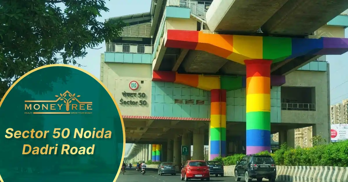 Sector 50 Noida | Dadri Road - Real Estate in Noida