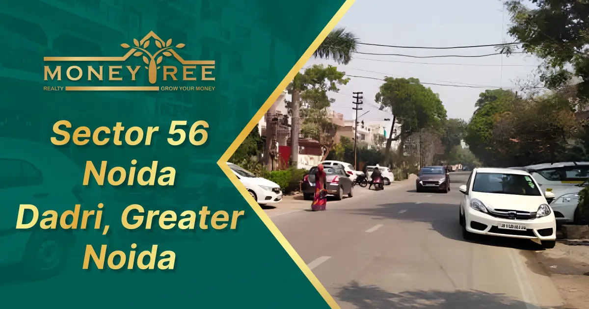 Sector 56 Noida | Dadri, Greater Noida