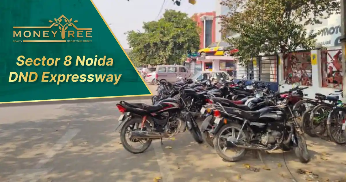 Sector 8 Noida | DND Expressway
