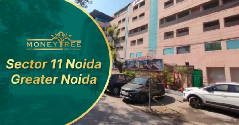 Sector 11 Noida | Greater Noida