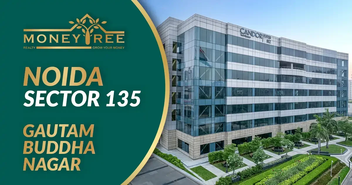 Sector 135 Noida | Gautam Buddha Nagar - Real Estate in Noida