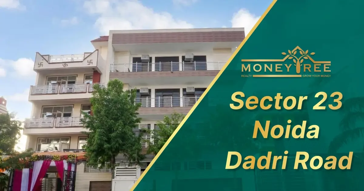 Sector 23 Noida | Dadri Road - Real Estate in Noida