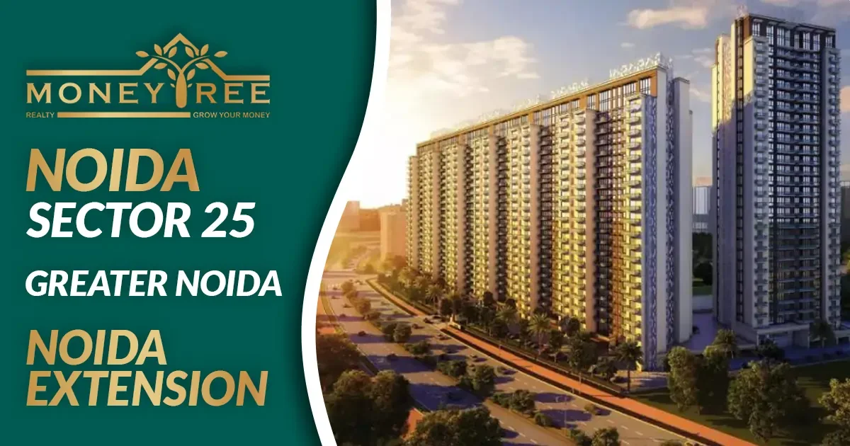 Sector 25 Noida | Greater Noida, Noida Extension - Real Estate in Noida
