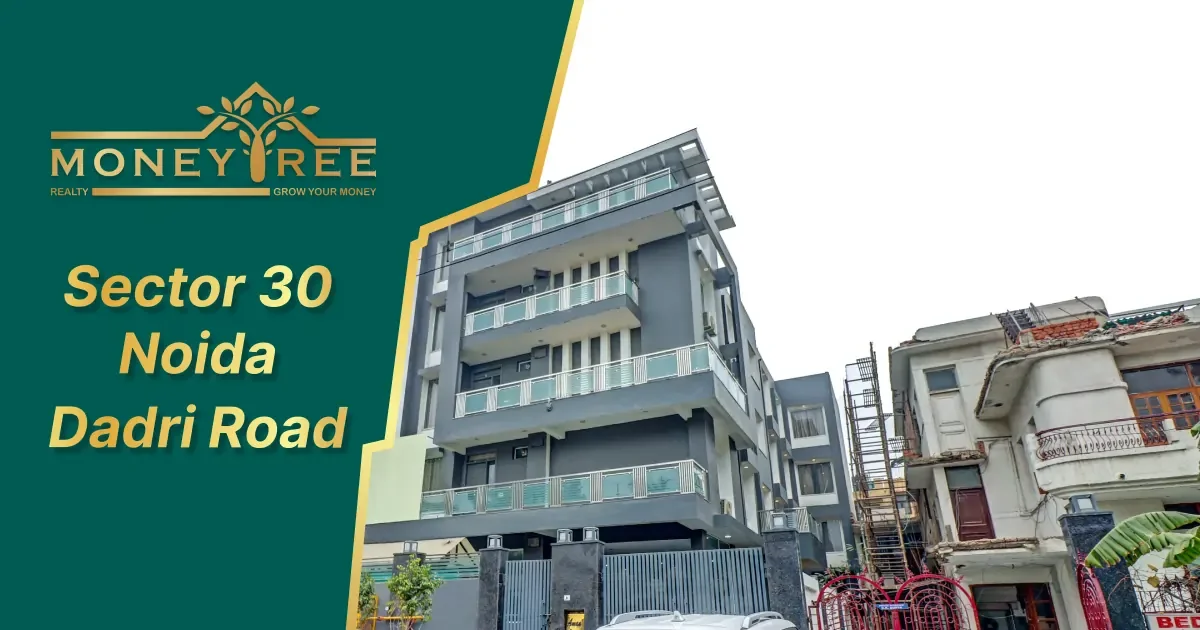 Sector 30 Noida | Dadri Greater Noida Road - Real Estate in Noida
