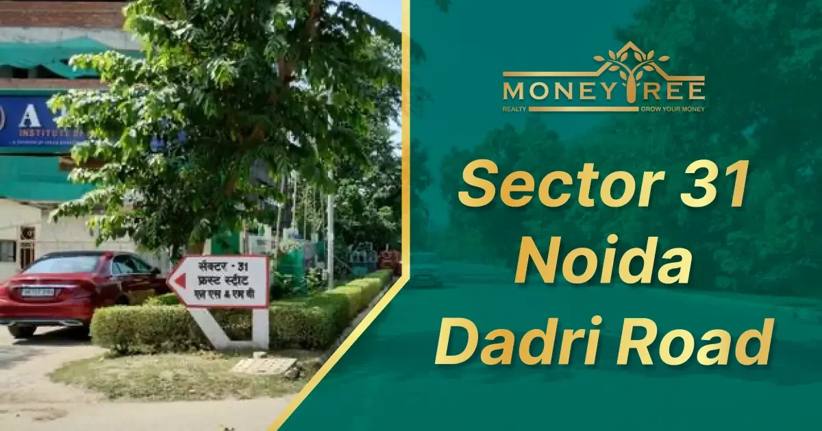Sector 31 Noida | Dadri Greater Noida Road - Real Estate in Noida