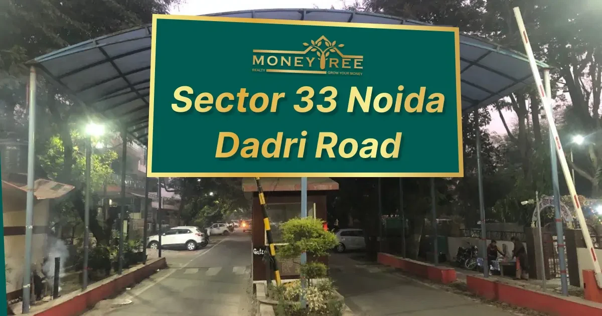Sector 33 Noida | Dadri Road - Real Estate in Noida
