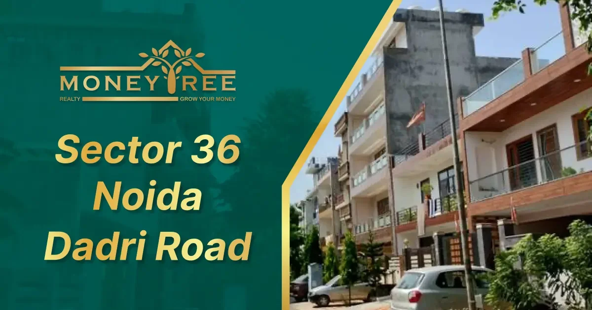 Sector 36 Noida | Dadri Road - Real Estate in Noida