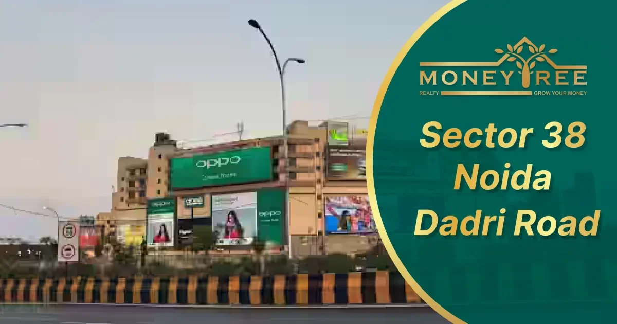 Sector 38 Noida | Dadri Road - Real Estate in Noida