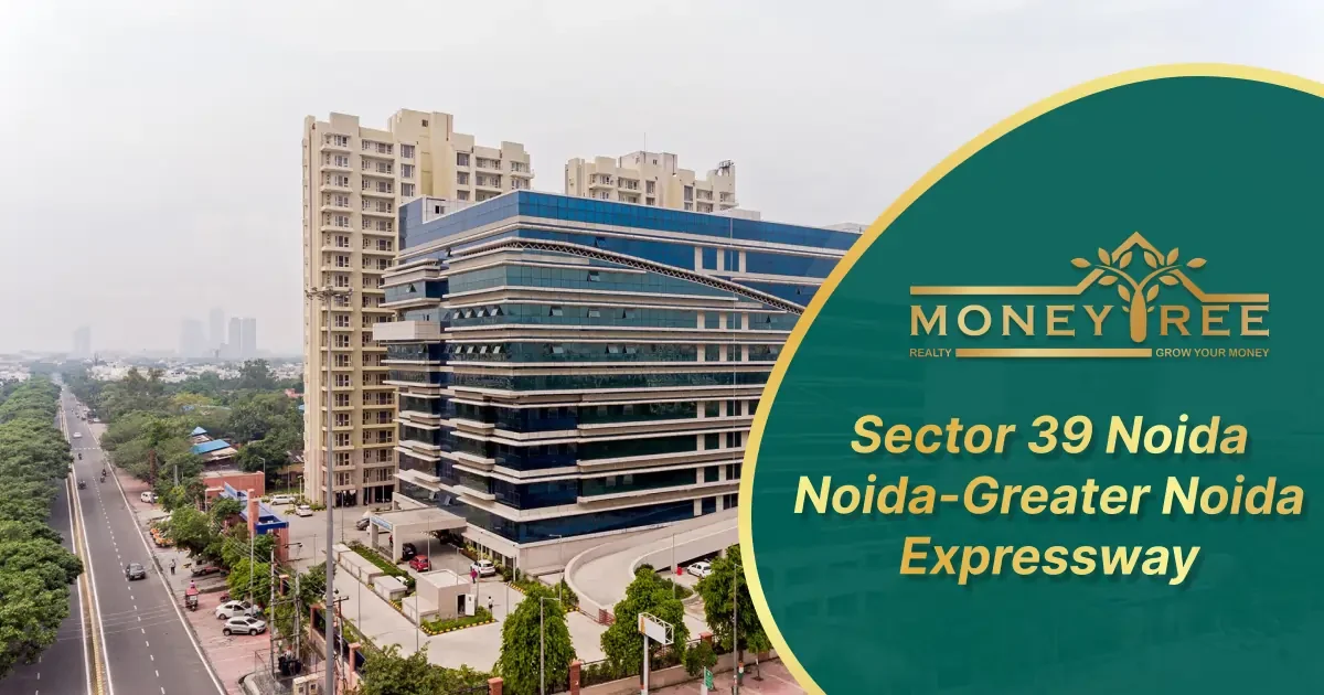 Sector 39 Noida | Noida-Greater Noida Expressway - Real Estate in Noida