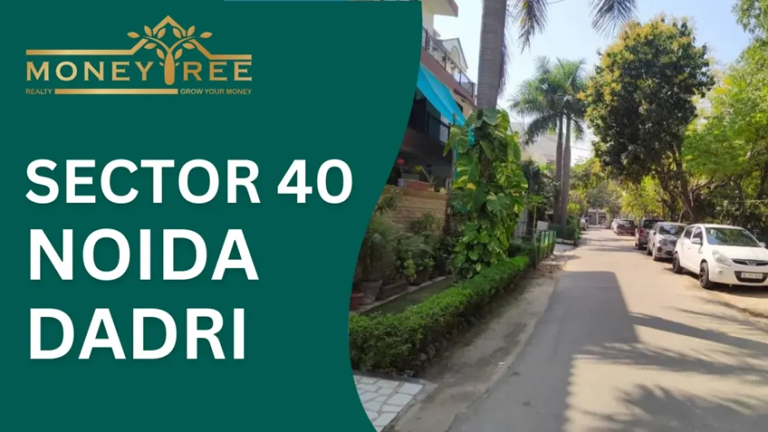 Sector 40 Noida | Dadri Greater Noida Expressway - Real Estate in Noida