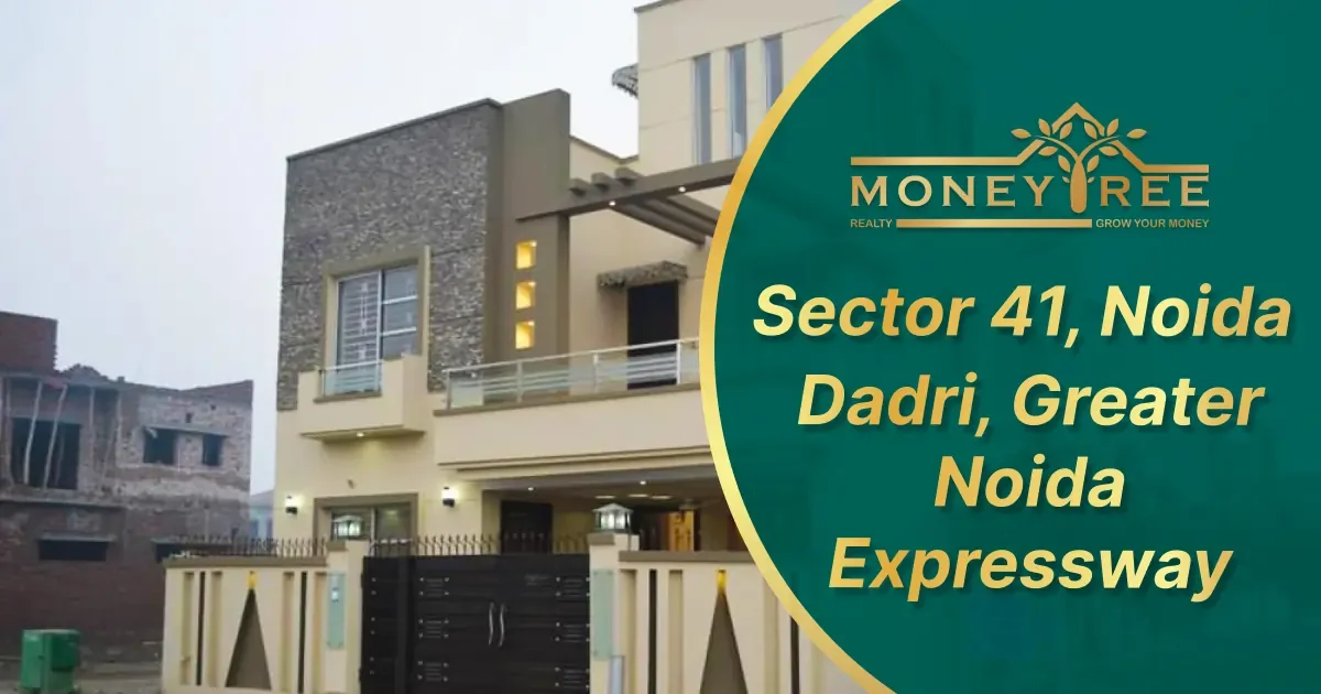 Sector 41 Noida | Dadri, Greater Noida Expressway - Real Estate in Noida