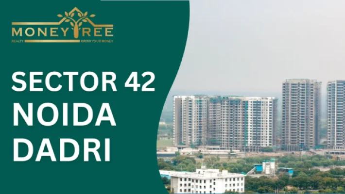 Sector 42 Noida | Dadri Greater Noida Expressway