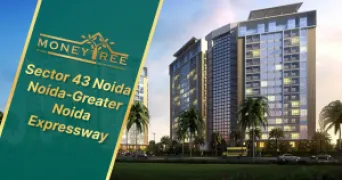 Sector 43 Noida | Noida-Greater Noida Expressway