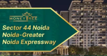 Sector 44 Noida | Noida-Greater Noida Expressway