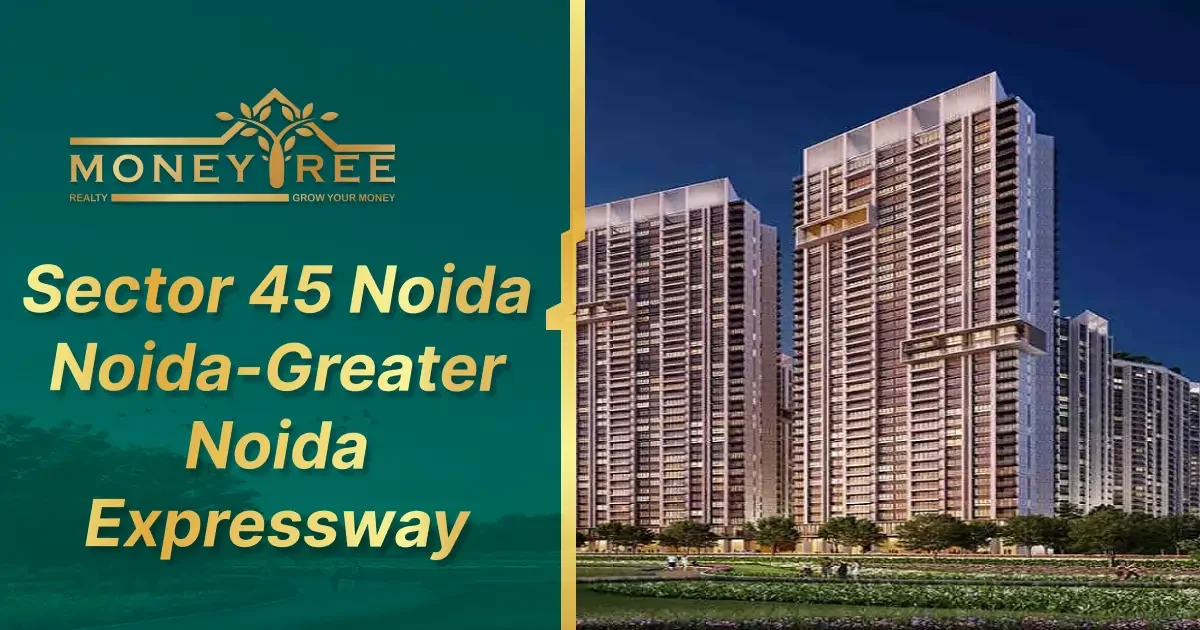 Sector 45 Noida | Noida-Greater Noida Expressway - Real Estate in Noida