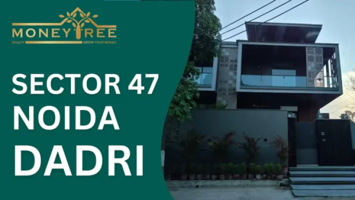 Sector 47 Noida | Dadri Greater Noida Expressway