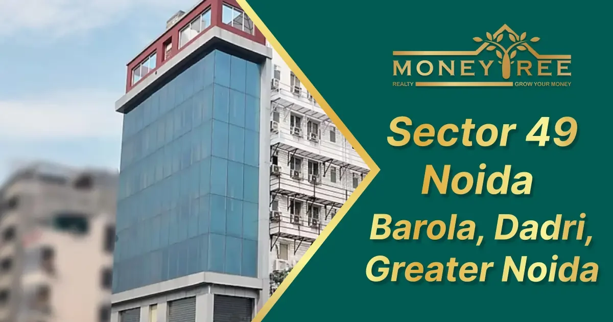 Sector 49 Noida | Barola, Dadri, Greater Noida - Real Estate in Noida