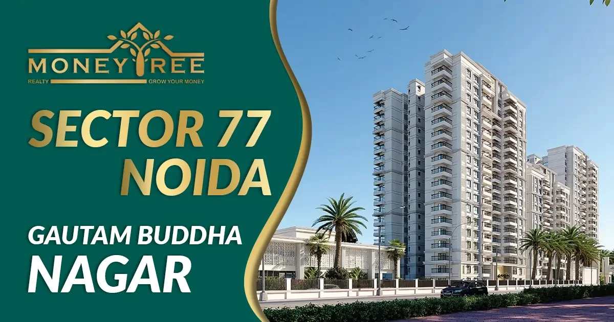Sector 77 Noida | Gautam Buddha Nagar - Real Estate in Noida