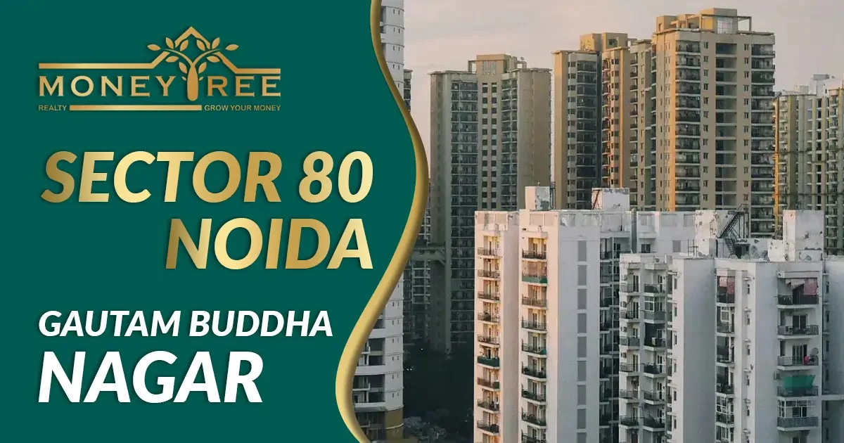 Sector 80 Noida | Gautam Buddha Nagar - Real Estate in Noida
