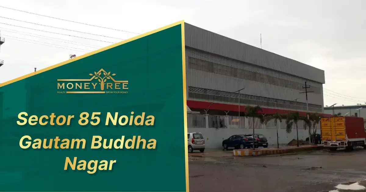 Sector 85 Noida | Gautam Buddha Nagar - Real Estate in Noida