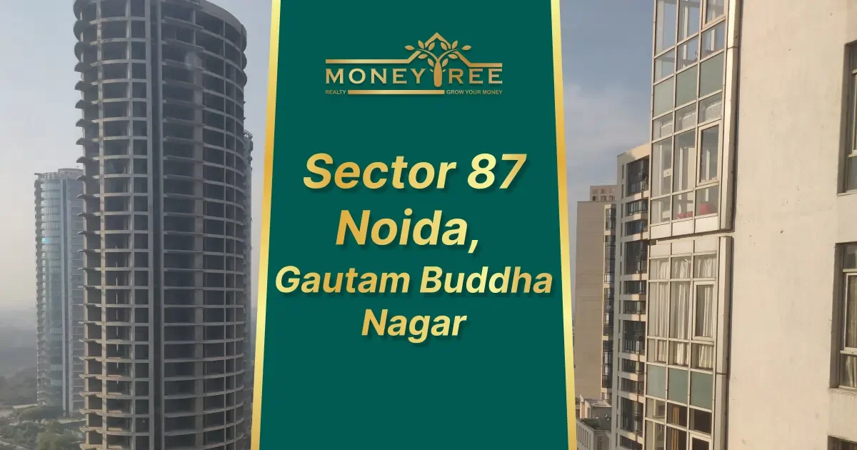 Sector 87 Noida | Gautam Buddha Nagar - Real Estate in Noida