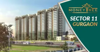 Sector 11 Gurgaon | Moneytree Realty