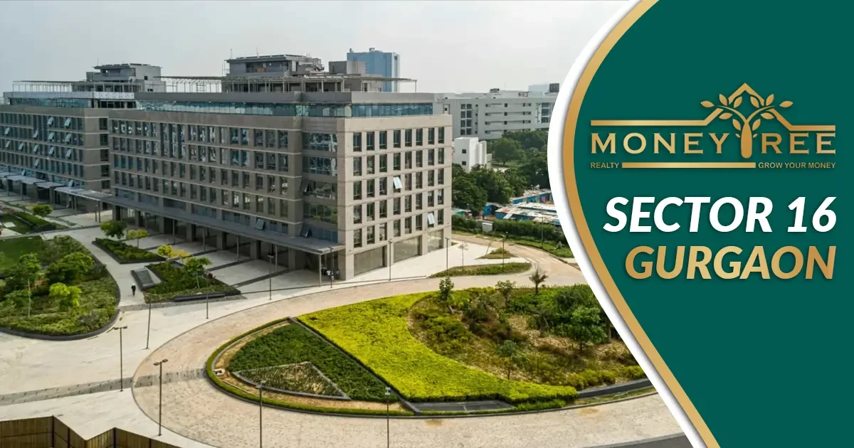 Sector 16 Gurgaon | Moneytree Realty - Real Estate in Gurgaon