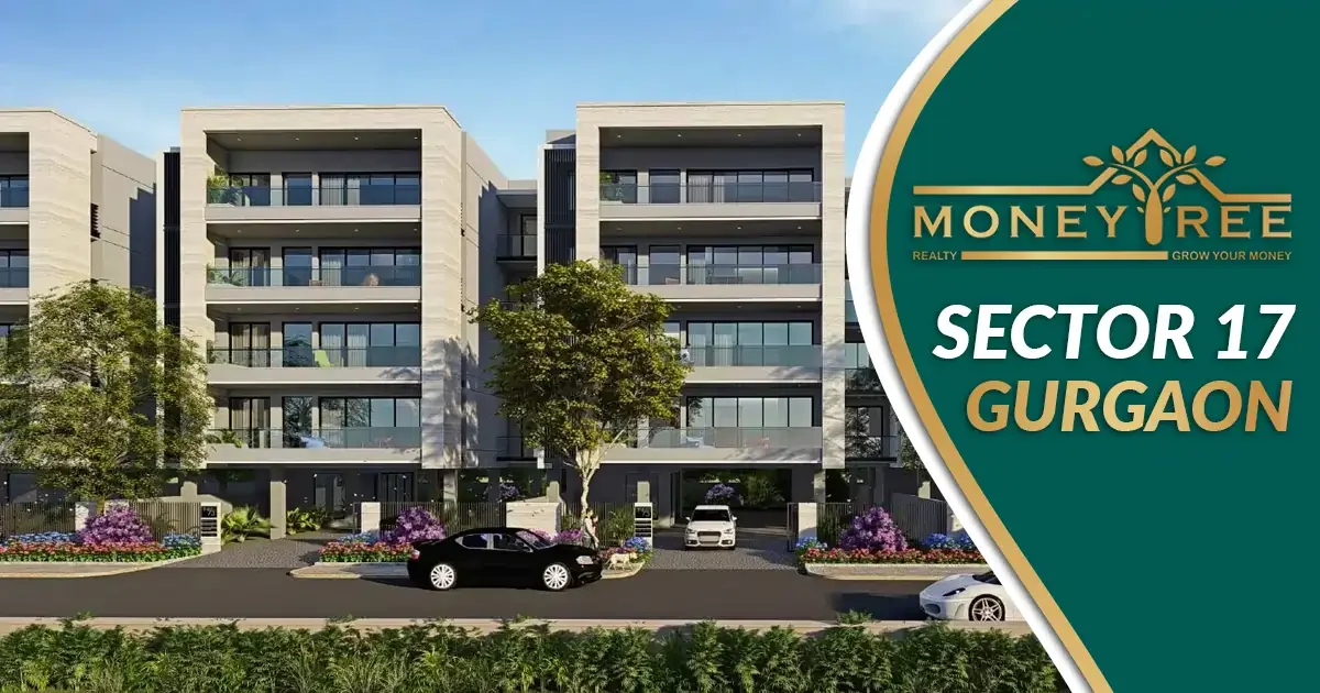 Sector 17 Gurgaon | Moneytree Realty - Real Estate in Gurgaon