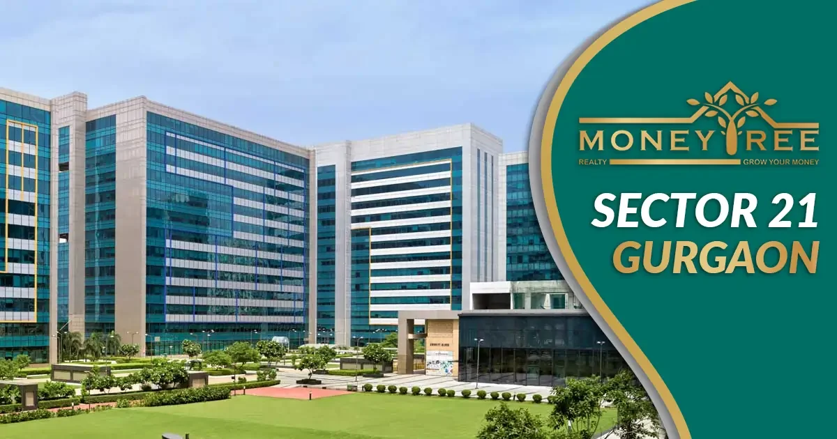 Sector 21 Gurgaon | Moneytree Realty - Real Estate in Gurgaon