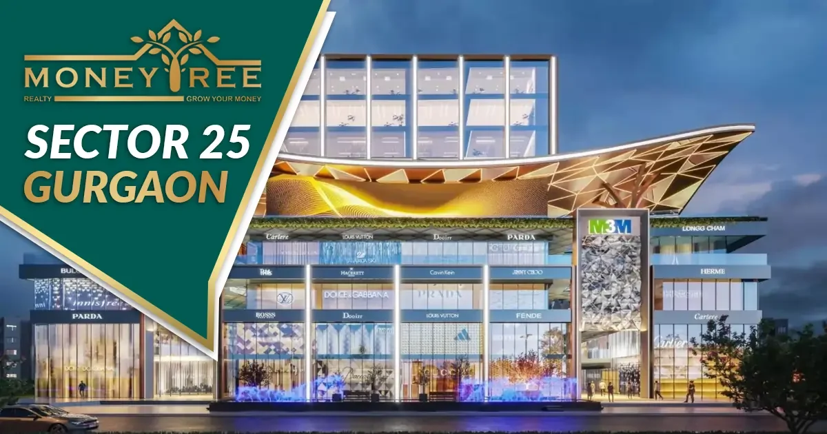 Sector 25 Gurgaon | Moneytree Realty - Real Estate in Gurgaon