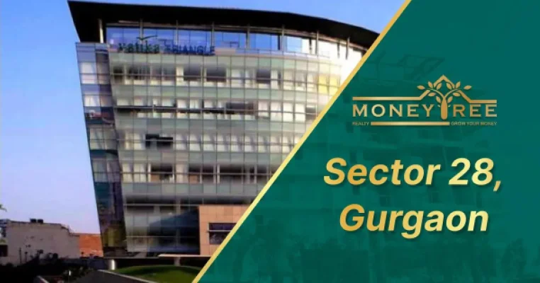 Sector 28 Gurgaon | Moneytree Realty