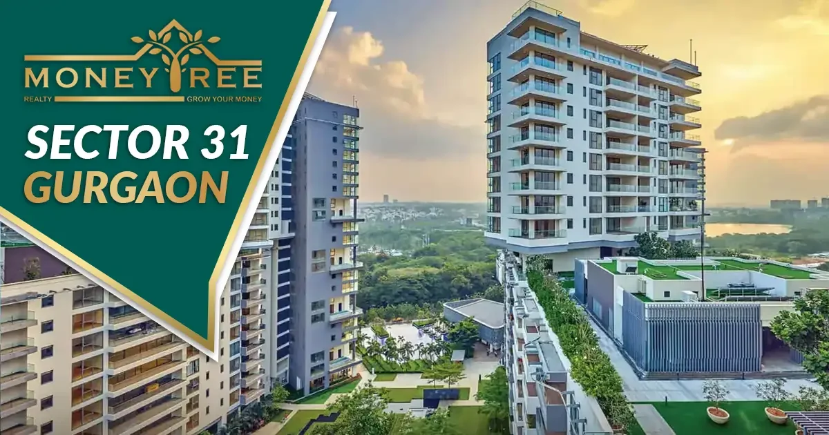 Sector 31 Gurgaon | Moneytree Realty - Real Estate in Gurgaon