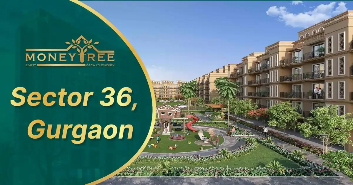 Sector 36 Gurgaon | Moneytree Realty - Real Estate in Gurgaon