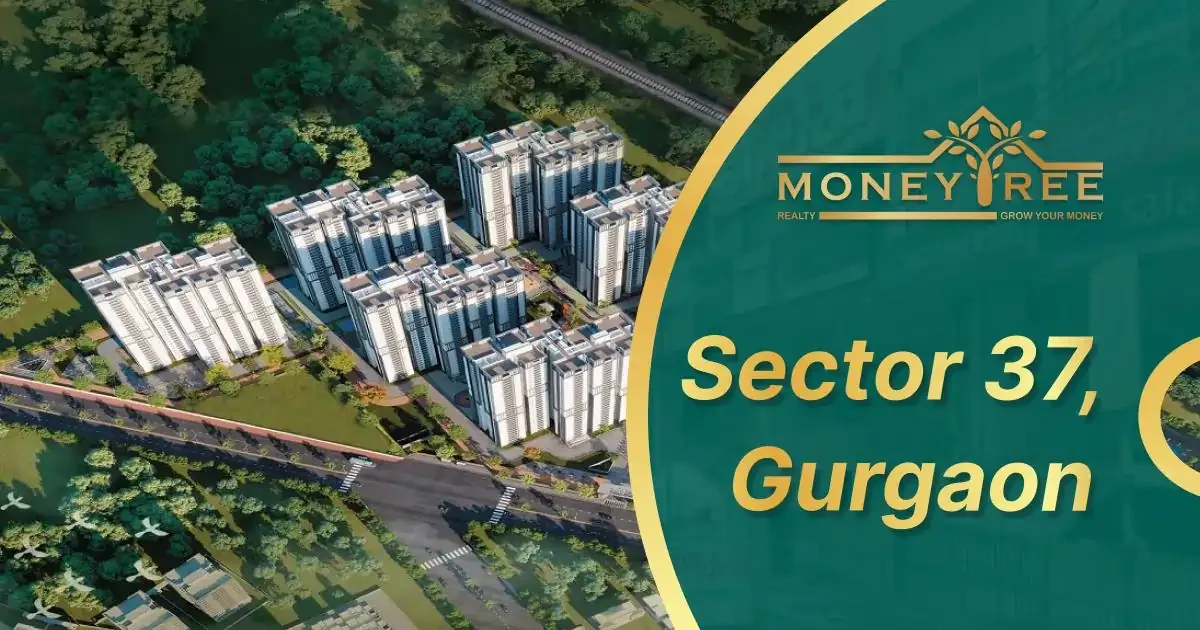 Sector 37 Gurgaon | Moneytree Realty - Real Estate in Gurgaon