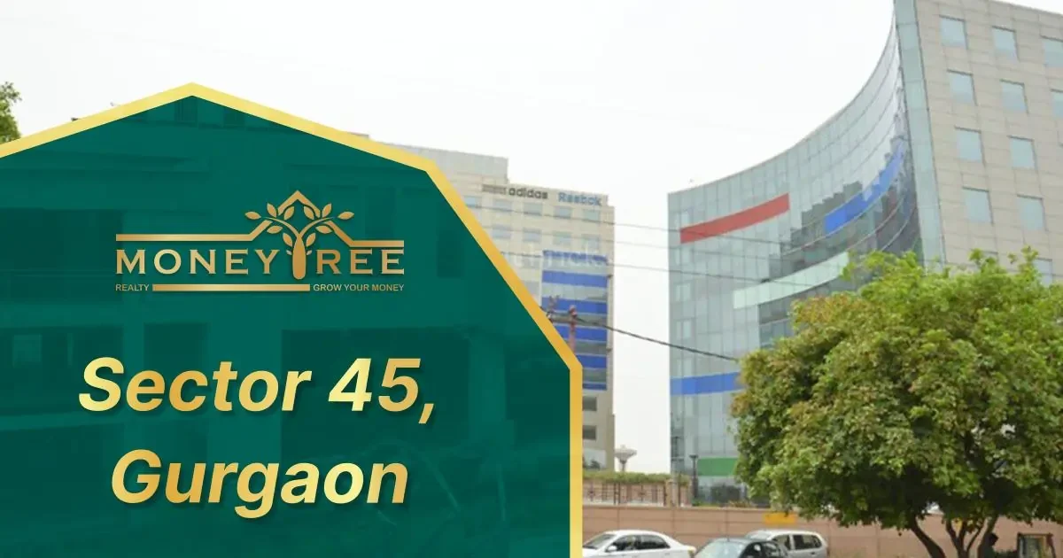 Sector 45 Gurgaon | Moneytree Realty - Real Estate in Gurgaon