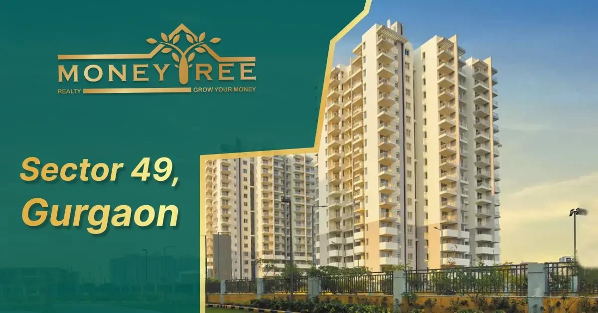 Sector 49 Gurgaon | Moneytree Realty - Real Estate in Gurgaon
