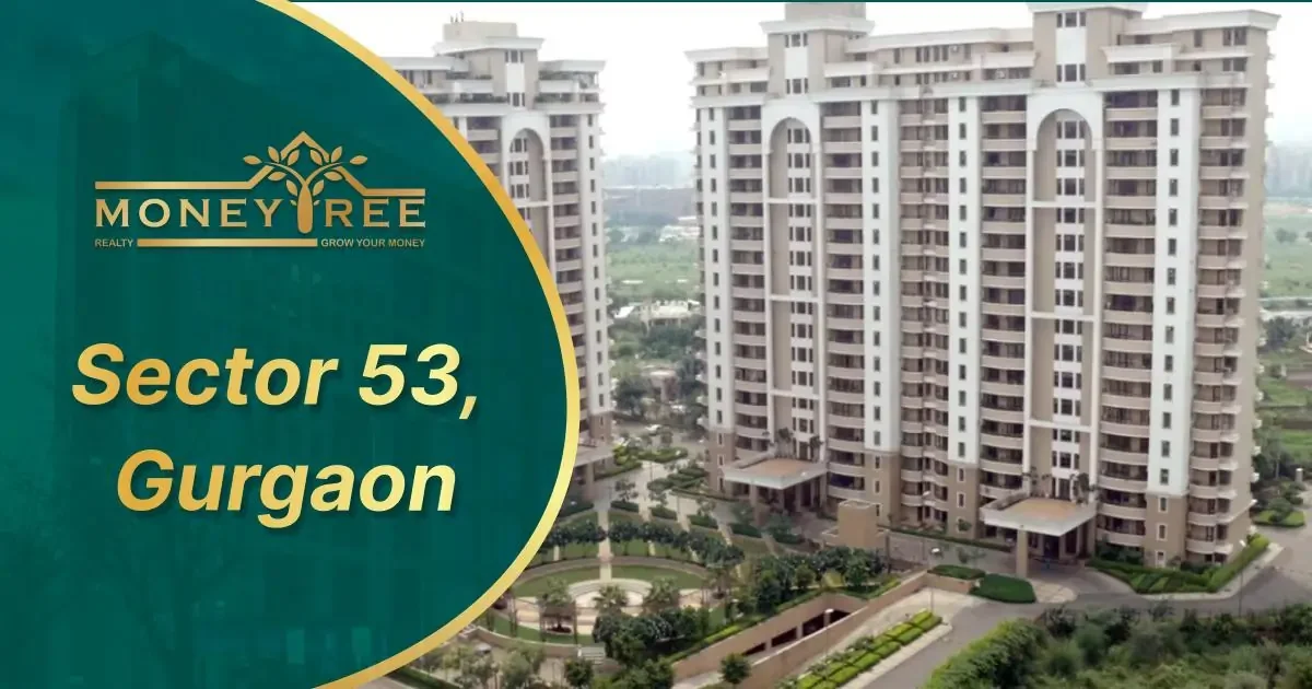 Sector 53 Gurgaon | Moneytree Realty - Real Estate in Gurgaon