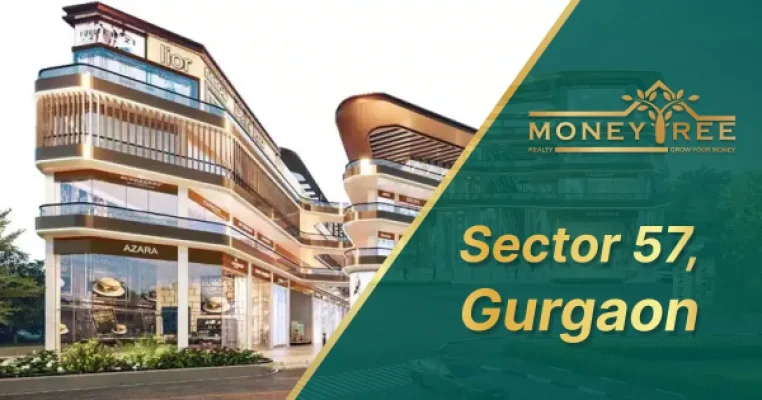 Sector 57 Gurgaon | Moneytree Realty