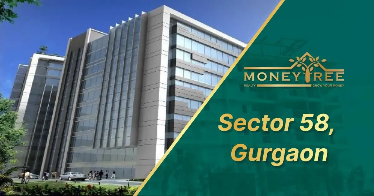 Sector 58 Gurgaon | Moneytree Realty - Real Estate in Gurgaon