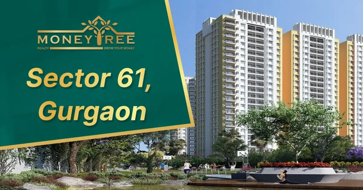 Sector 61 Gurgaon | Moneytree Realty - Real Estate in Gurgaon