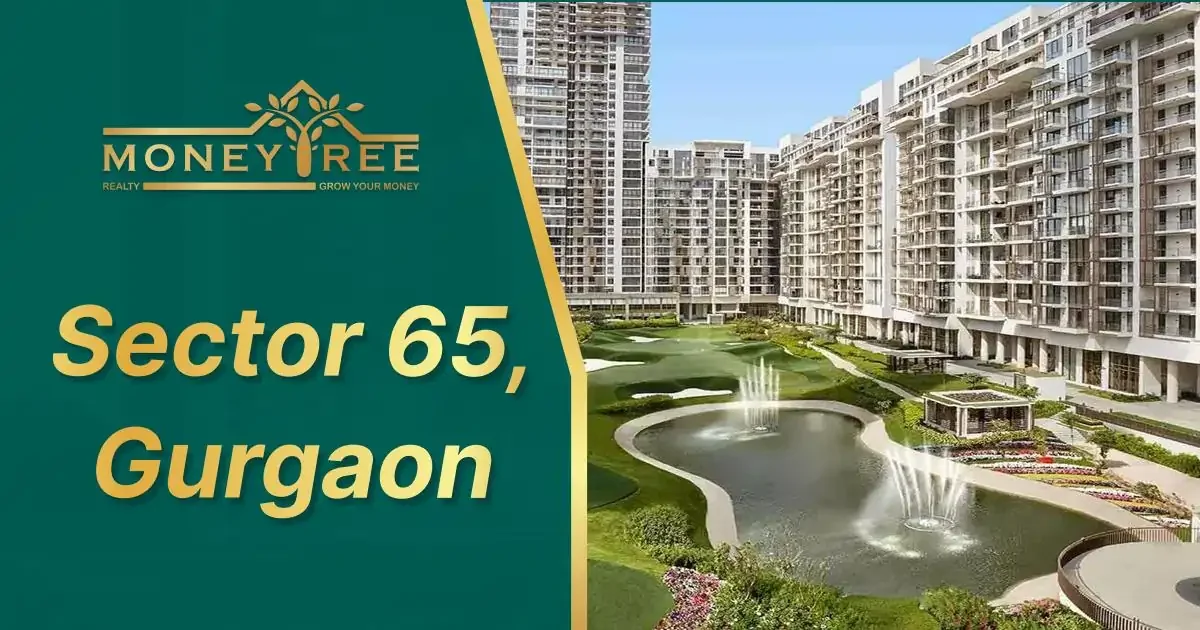 Sector 65 Gurgaon | Moneytree Realty - Real Estate in Gurgaon