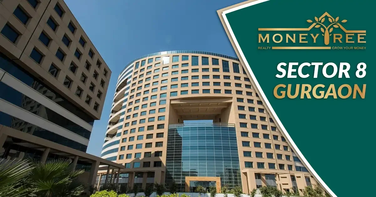 Sector 8 Gurgaon | Moneytree Realty - Real Estate in Gurgaon