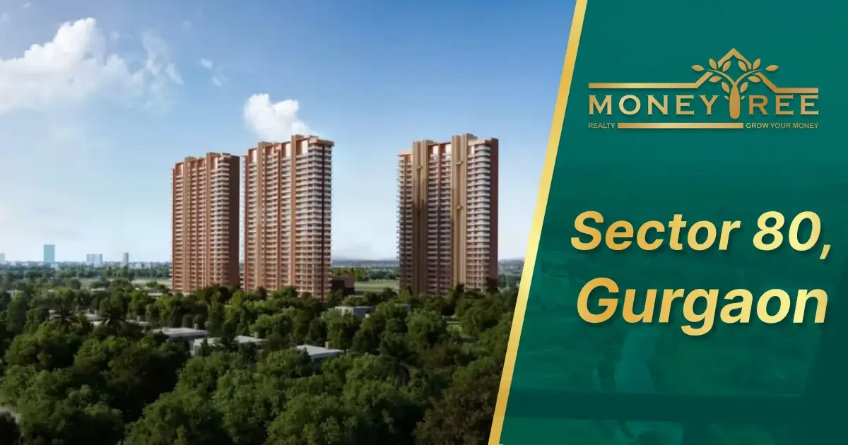 Sector 80 Gurgaon | Moneytree Realty - Real Estate in Gurgaon