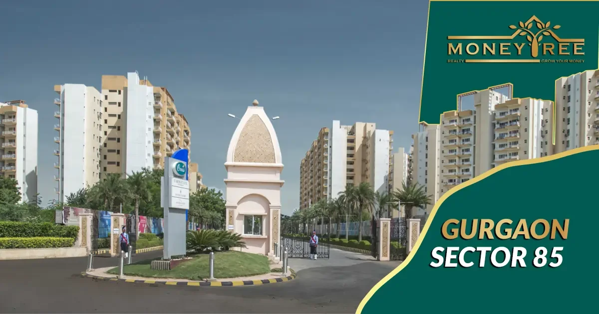 Sector 85 Gurgaon | Moneytree Realty - Real Estate in Gurgaon